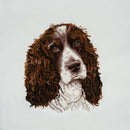 Trimits Counted Cross Stitch Kit Ð Large: Springer Spaniel, 36x36cm, Includes Aida Fabric, Pre-Sorted Threads, Needle, Personalizing Alphabet, Instructions in English, French, German-1