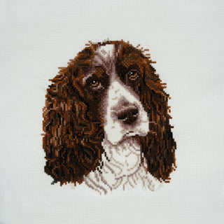 Trimits Counted Cross Stitch Kit Ð Large: Springer Spaniel, 36x36cm, Includes Aida Fabric, Pre-Sorted Threads, Needle, Personalizing Alphabet, Instructions in English, French, German