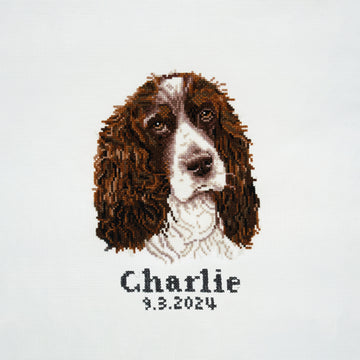 Trimits Counted Cross Stitch Kit Ð Large: Springer Spaniel, 36x36cm, Includes Aida Fabric, Pre-Sorted Threads, Needle, Personalizing Alphabet, Instructions in English, French, German - 0