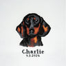 Trimits Counted Cross Stitch Kit Ð Large: Dachshund, 36x36cm, Includes Aida Fabric, Pre-Sorted Threads, Needle, Personalizing Alphabet, Instructions in English, French, German