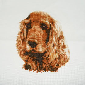 Trimits Counted Cross Stitch Kit Large: Cocker Spaniel, 36x36cm, Includes Aida Fabric, Pre-Sorted Threads, Needle, Personalizing Alphab...