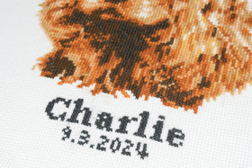 Trimits Counted Cross Stitch Kit Large: Cocker Spaniel, 36x36cm, Includes Aida Fabric, Pre-Sorted Threads, Needle, Personalizing Alphab...