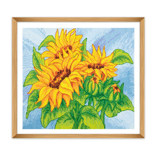 Trimits Counted Cross Stitch Kit Ð Large: Sunflowers, 36x36cm, Includes Aida Fabric, Pre-Sorted Threads, Needle, Personalizing Alphabet, Instructions in English, French, German