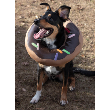 Simplicity Sewing Pattern S9582 PET ELIZABETHAN COLLARS BY CARLA REISS - 0