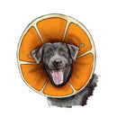 Simplicity Sewing Pattern S9582 PET ELIZABETHAN COLLARS BY CARLA REISS-4